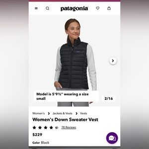 Patagonia Down Sweater Vest Large